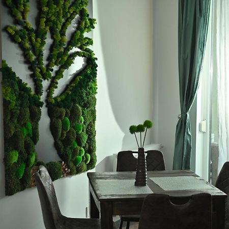 Mirvana Apartments Metheor Executive Suite ティミショアラ エクステリア 写真
