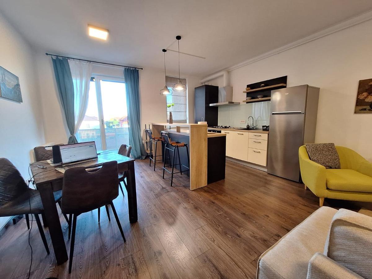 Mirvana Apartments Metheor Executive Suite ティミショアラ エクステリア 写真