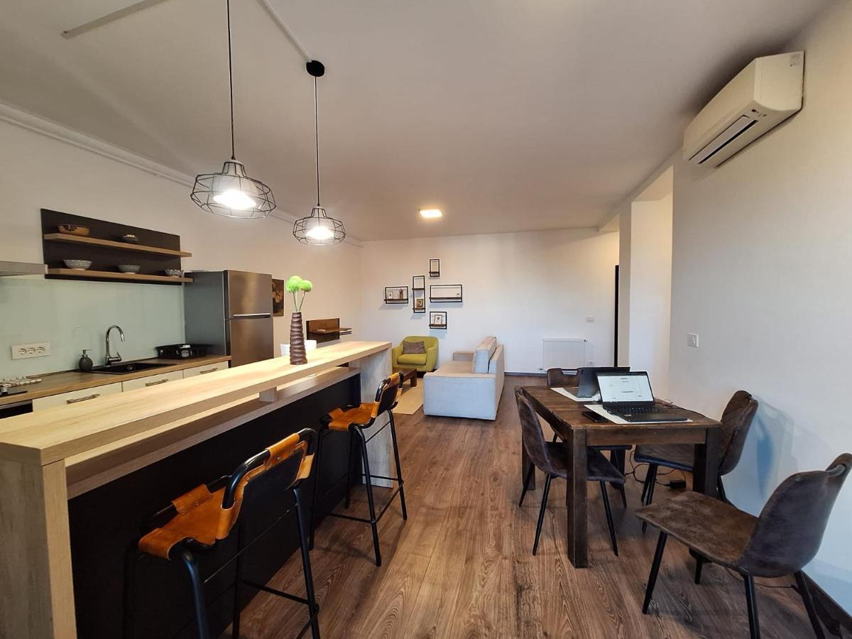Mirvana Apartments Metheor Executive Suite ティミショアラ エクステリア 写真