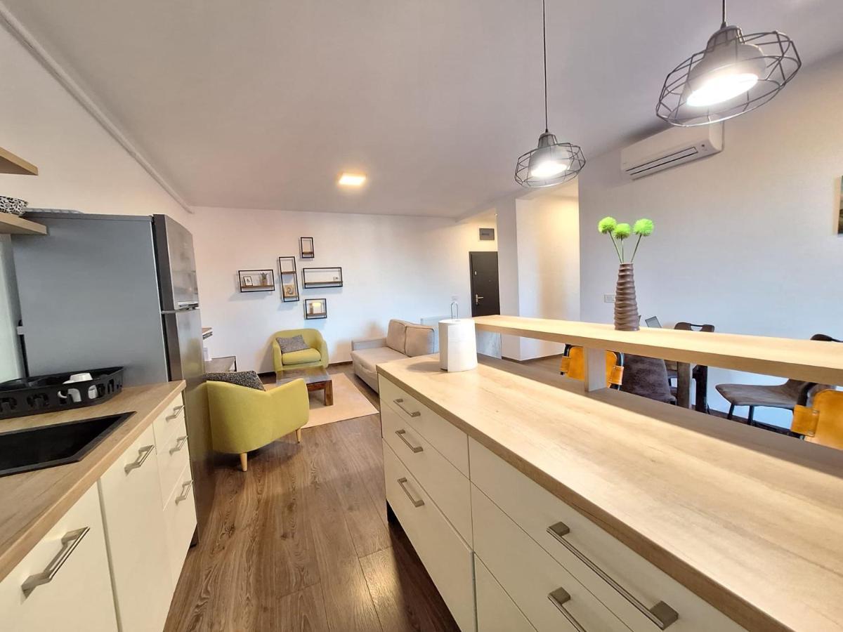 Mirvana Apartments Metheor Executive Suite ティミショアラ エクステリア 写真
