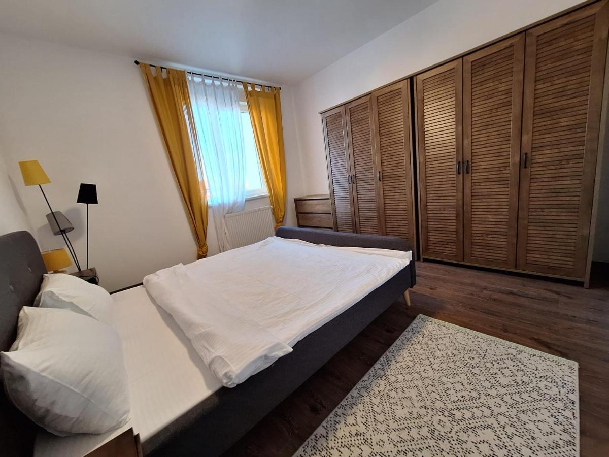 Mirvana Apartments Metheor Executive Suite ティミショアラ エクステリア 写真