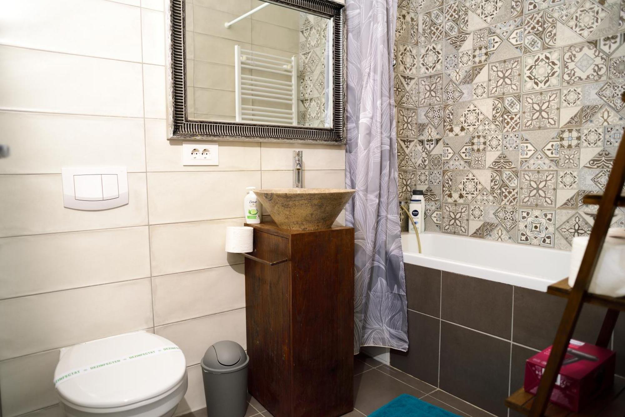 Mirvana Apartments Metheor Executive Suite ティミショアラ エクステリア 写真