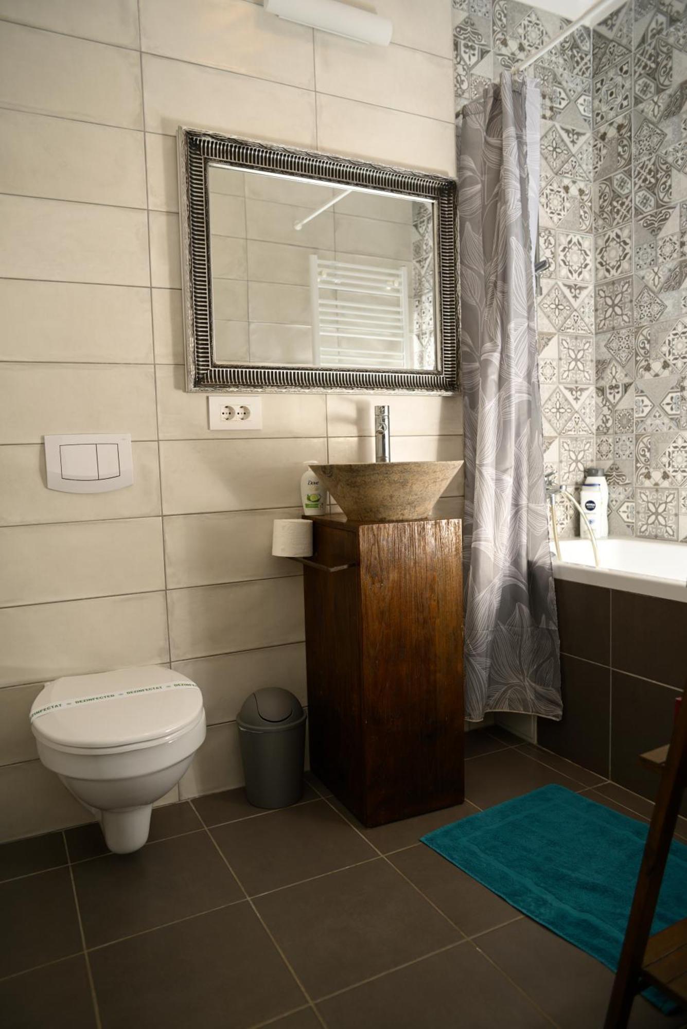 Mirvana Apartments Metheor Executive Suite ティミショアラ エクステリア 写真